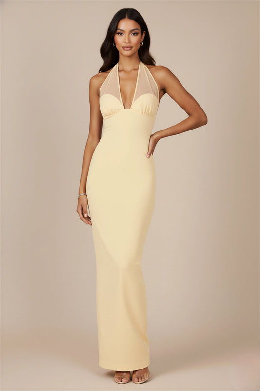 Chic Sheath V-Neck Halter Mesh Sleeveless Zipper Back Long Prom Dresses