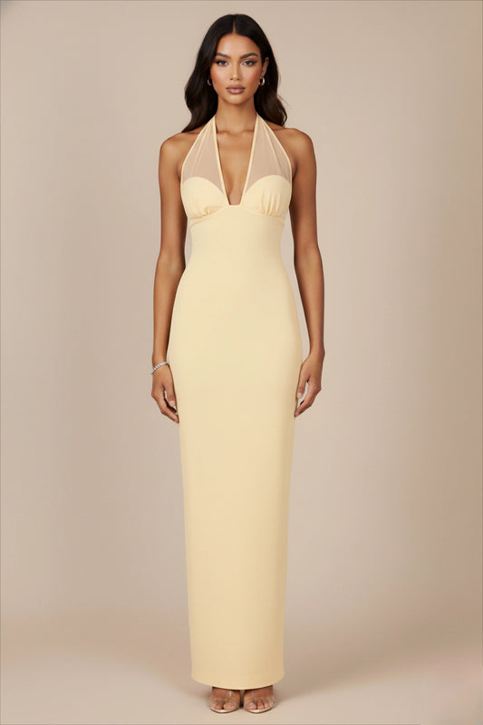 Chic Sheath V-Neck Halter Mesh Sleeveless Zipper Back Long Prom Dresses